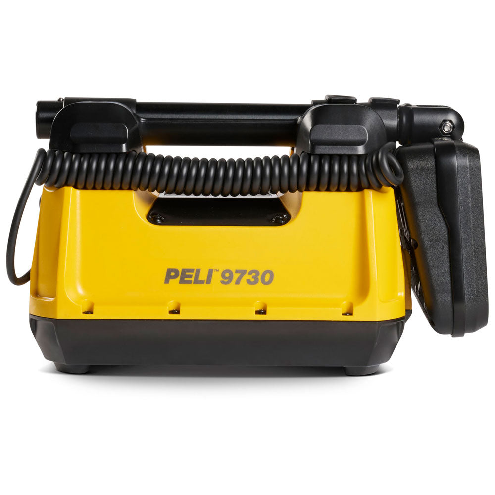 9730 Remote Area Light