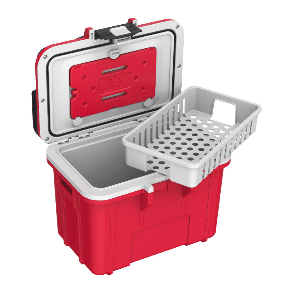 8QT Personal Cooler