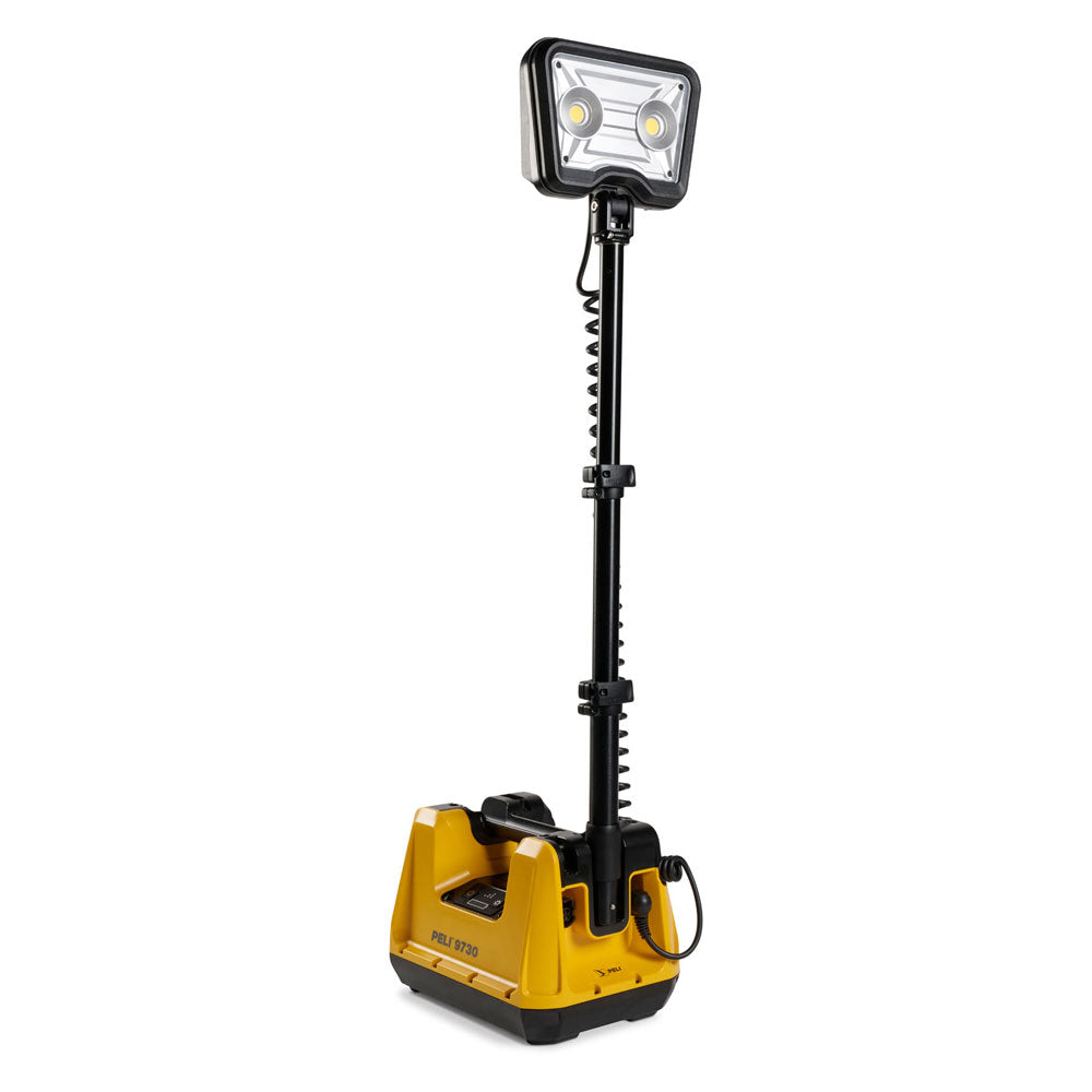 9730 Remote Area Light