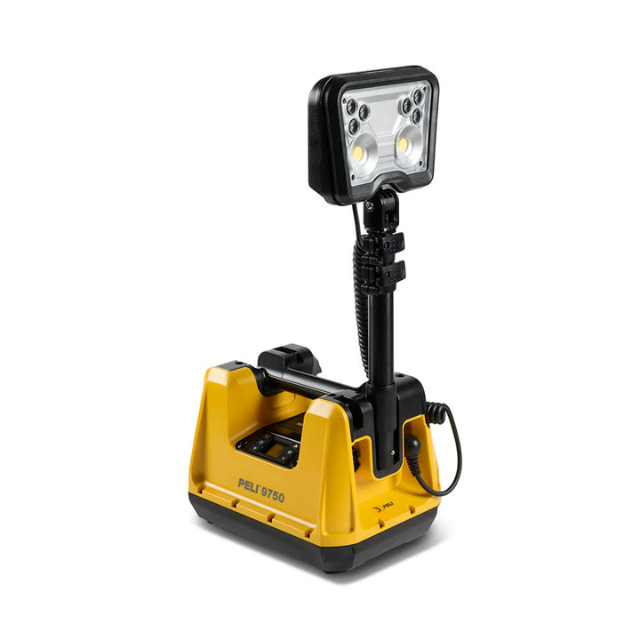 9750 Remote Area Light