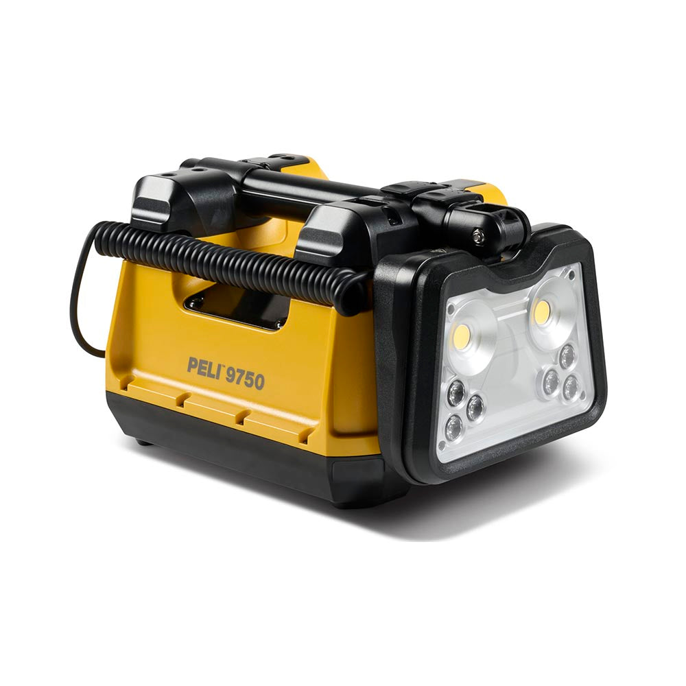 9750 Remote Area Light