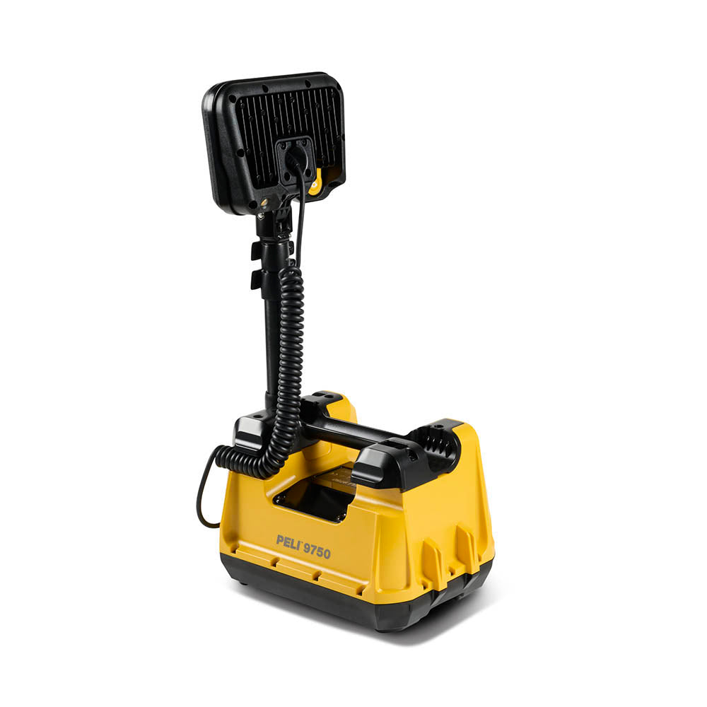 9750 Remote Area Light