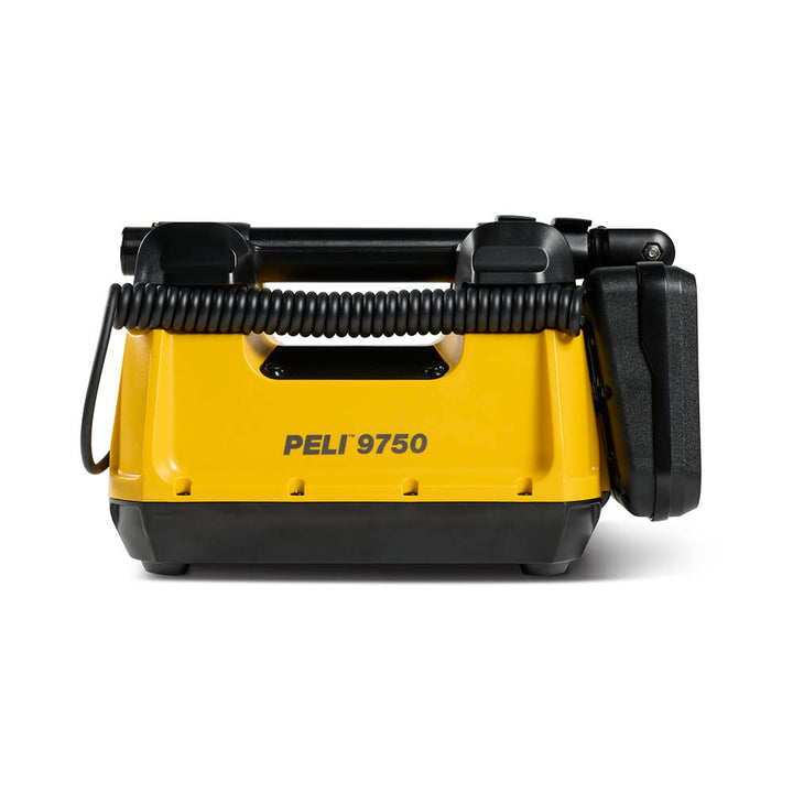 9750 Remote Area Light