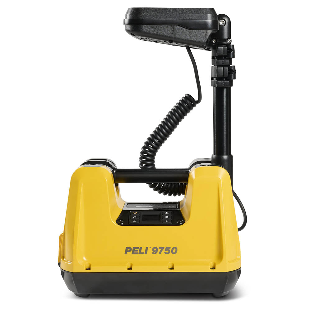 9750 Remote Area Light