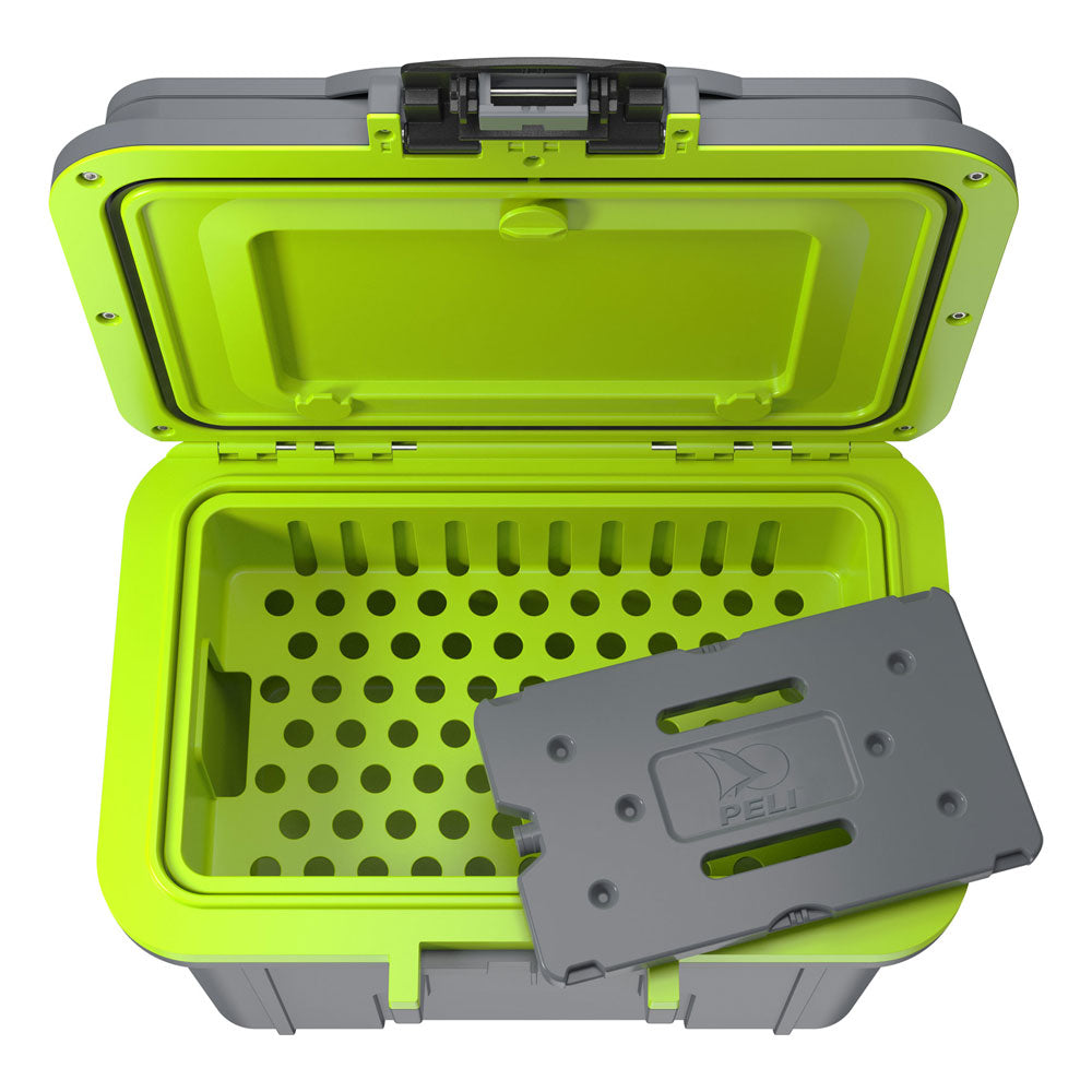 8QT Personal Cooler