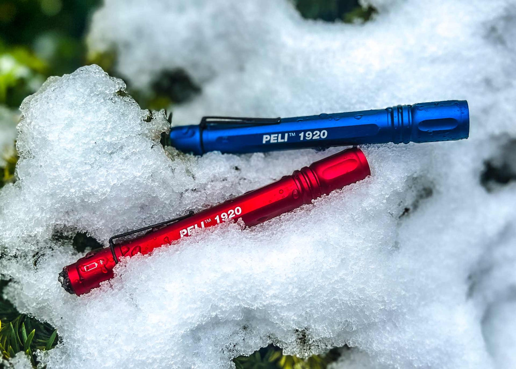 A blue Peli 1920 torch and a red Peli 1920 torch balanced on a tree branch in the snow.